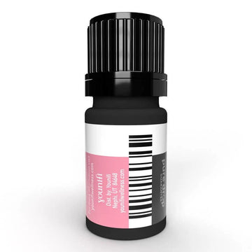 Rose Essential Oil - 100% Guaranteed Pure 5 ml