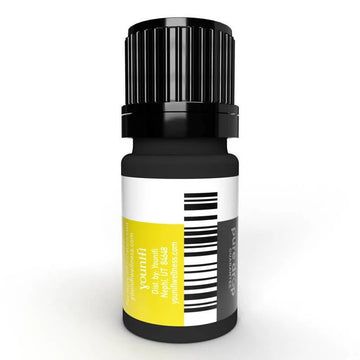 Helichrysum Essential Oil - 100% Guaranteed Pure 5ml