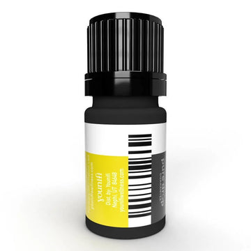 NEW 10 mL Helichrysum Essential Oil - 100% Guaranteed Pure